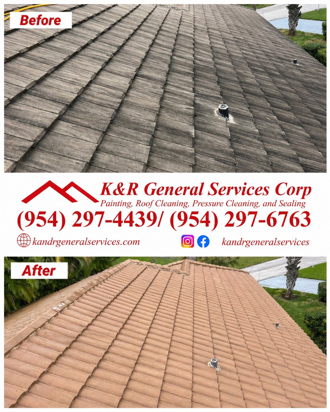 Roof Cleaning