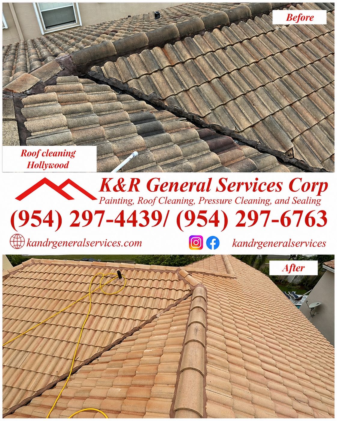 Roof Cleaning