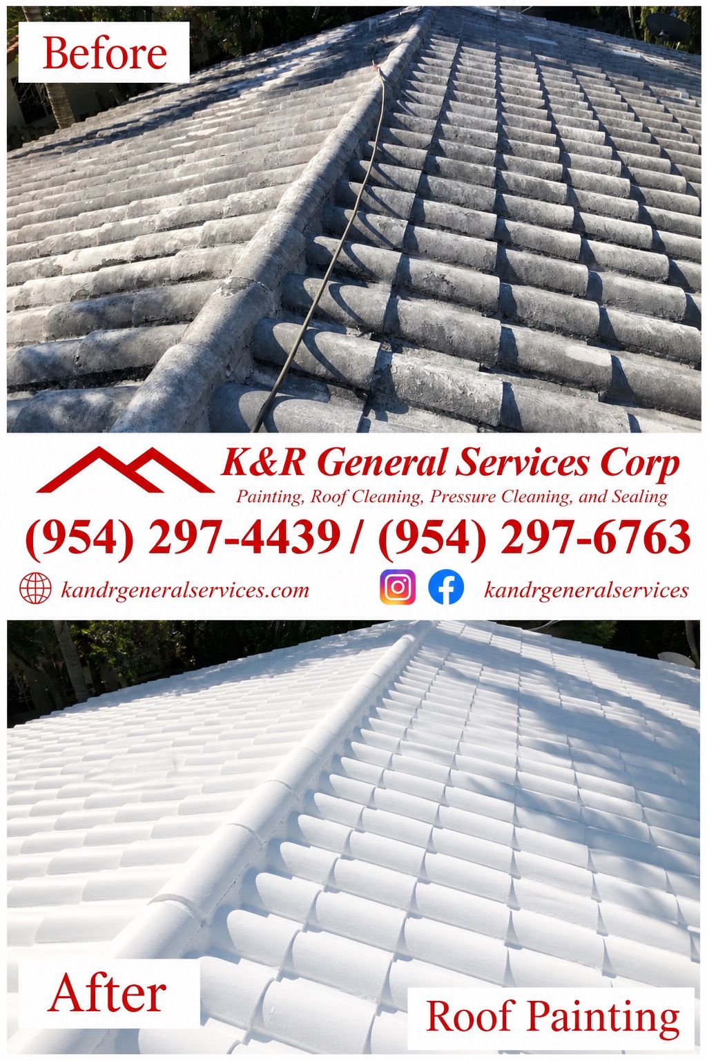 Roof Painting