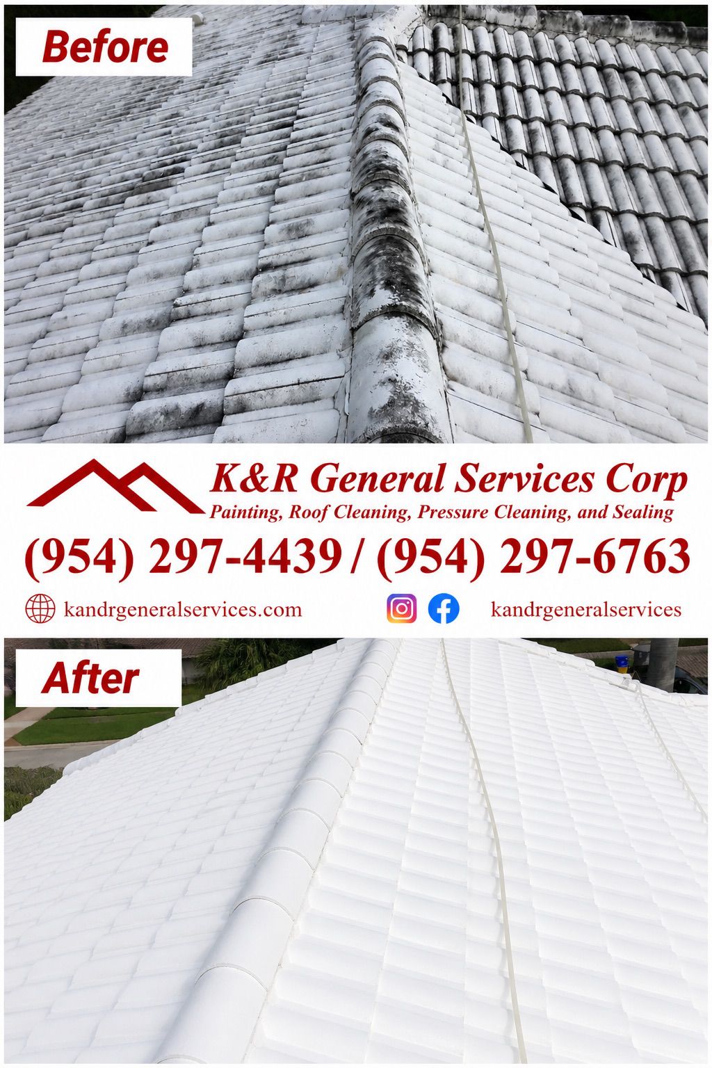 Roof Painting